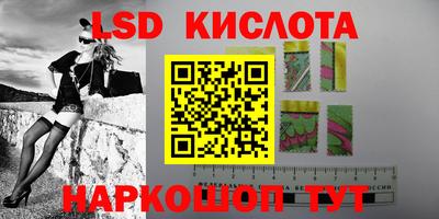 крисы Кандалакша