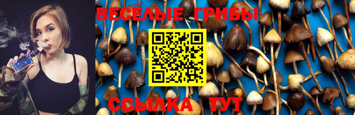 Галлюциногенные грибы Psilocybine cubensis  Вход с VPN  Кострома 