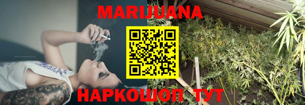 Бошки марихуана план  Каннабис сатива  Каннабис Bruce Banner  Вход с VPN  Кострома 